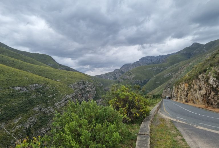 Oudtshoorn A local’s guide to the ostrich capital of the world