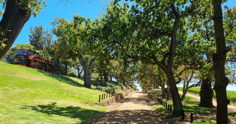 bus tours in cape town