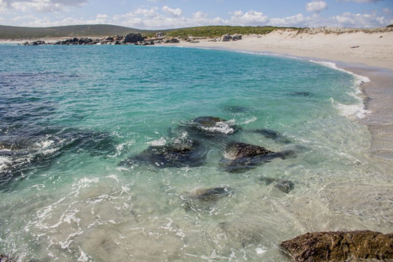 A Guide to Exploring the West Coast National Park  Wander Cape Town