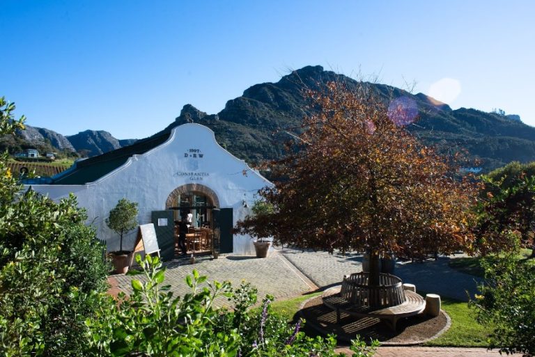 9 best wine farms in Cape Town Wander Cape Town